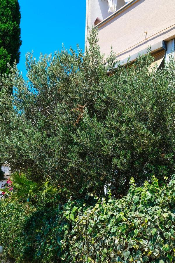 Olive Shade - Apartment Near The Beach Split Bagian luar foto