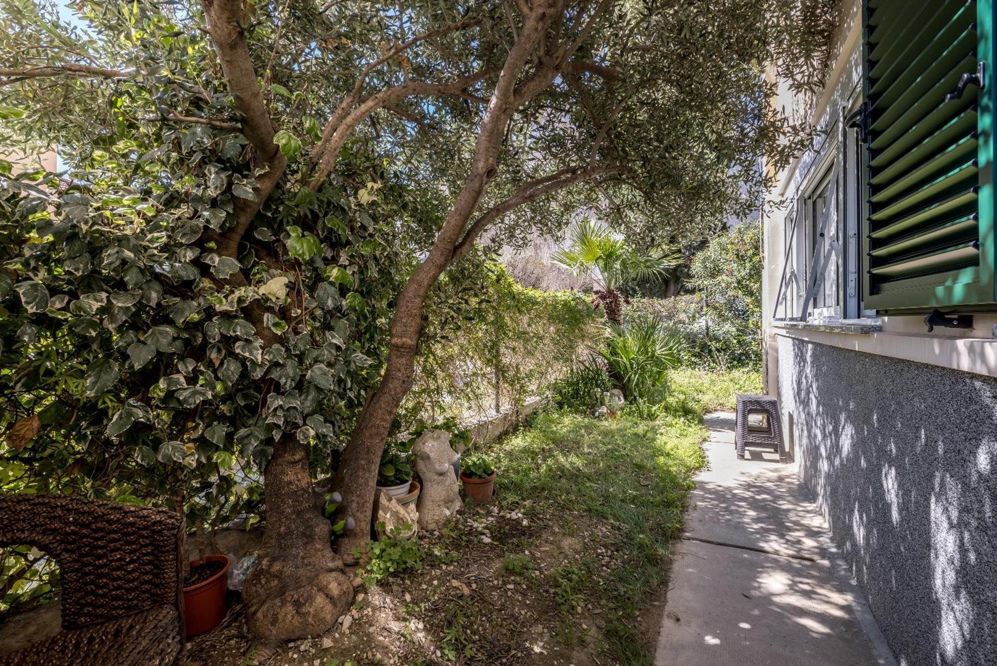 Olive Shade - Apartment Near The Beach Split Bagian luar foto
